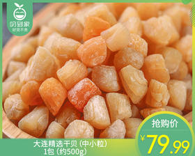 大连精选干贝（中小粒）/1包（约500g）