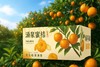 【涌泉蜜桔】台州临海无核橘子  4.5斤/5斤可选  （单果径55-80mm） 商品缩略图7