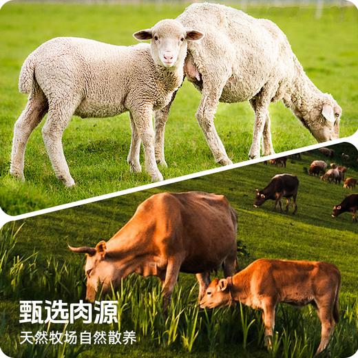 心选丨山海造精品肥牛卷/羊肉卷 商品图5