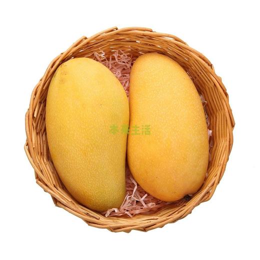 【本来优选】精品金煌芒礼盒装2.5kg套袋种植 不打催熟剂 4-6个大芒果 海南热带水果云仓 商品图1