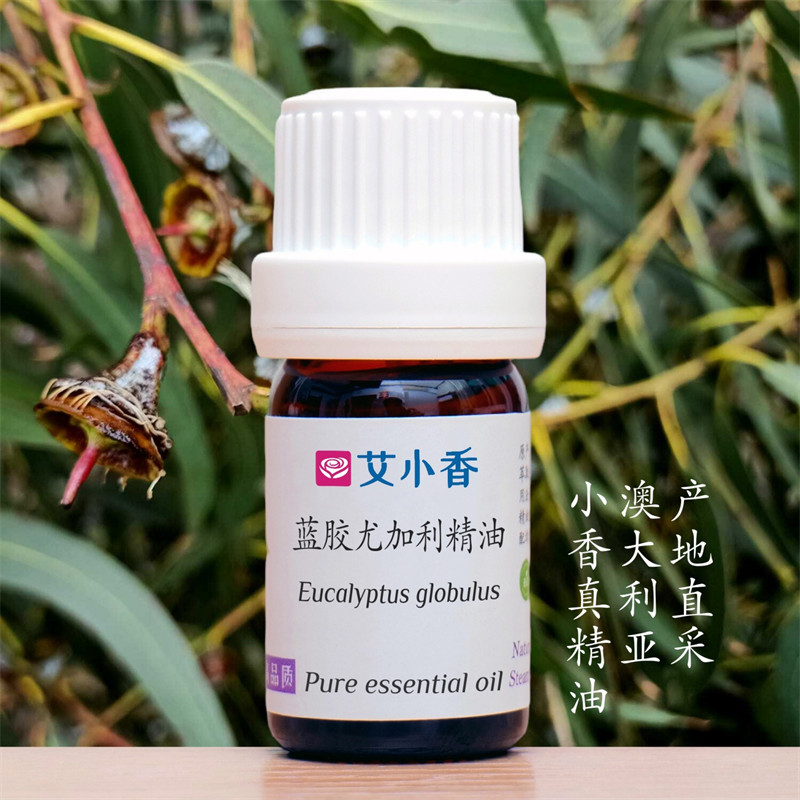 蓝胶尤加利精油 澳洲产地直采 森林香薰顺畅呼吸