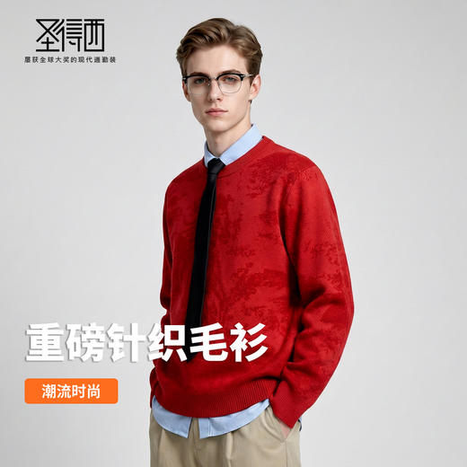 圣得西2025年冬季男士新款针织毛衣动物提花圆领套头时尚保暖毛衫 商品图3
