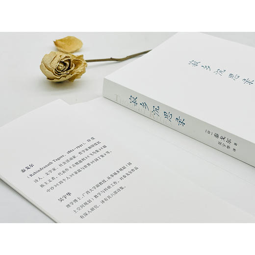 寂乡沉思录 商品图4