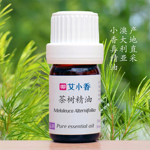 茶树精油 澳洲产地直采 空间净化自然守护顺畅呼吸香薰 商品图0