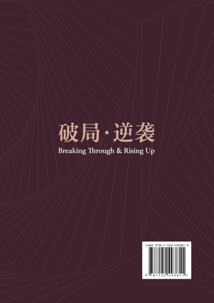 破局·逆袭：我的寿险一线实战手记 商品图7