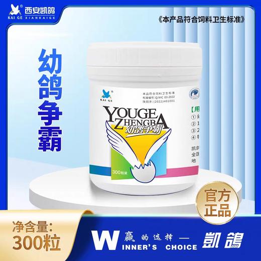 【幼鸽争霸】台湾配方，公棚高手，推崇的秘密武器（凯鸽） 商品图1