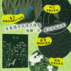 文明诣自然奇遇三部曲：夏夜(（韩）文明诣 著 ) 商品缩略图2