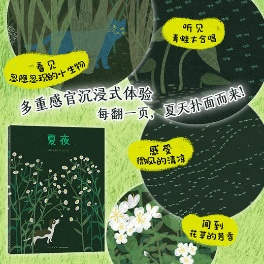 文明诣自然奇遇三部曲：夏夜(（韩）文明诣 著 ) 商品图2