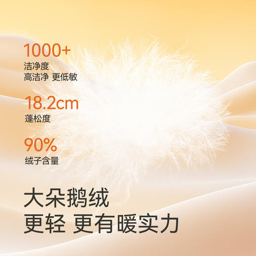 英氏儿童羽绒服鹅绒男款男童保暖防寒外套户外男宝宝纯色百搭炫酷 商品图1