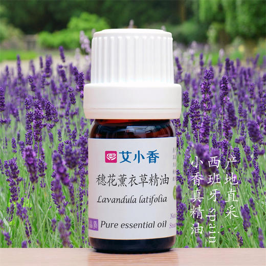 穗花薰衣草精油 西班牙产地直采 商品图0