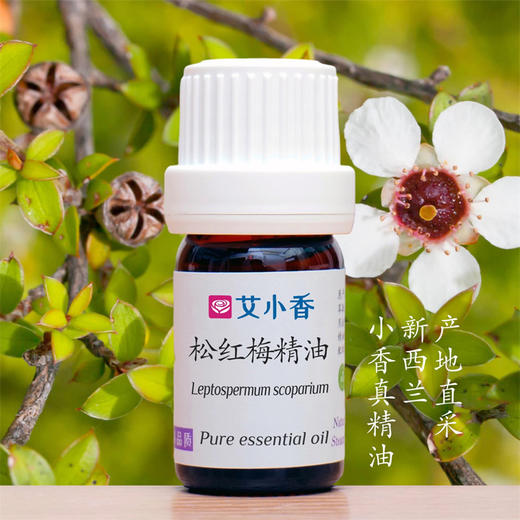 松红梅精油 新西兰产地直采 麦卢卡独特香气自然香氛 商品图0