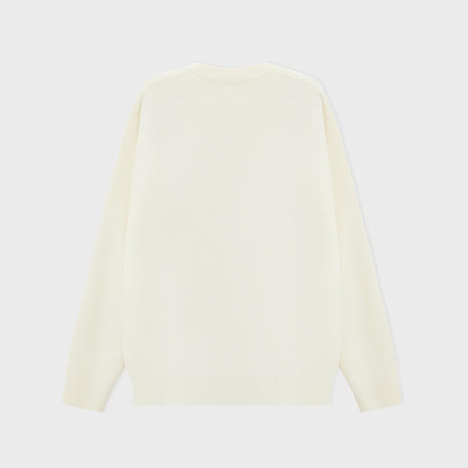 【新品上新】HX 冬季圆领毛衫C107540020102 商品图1