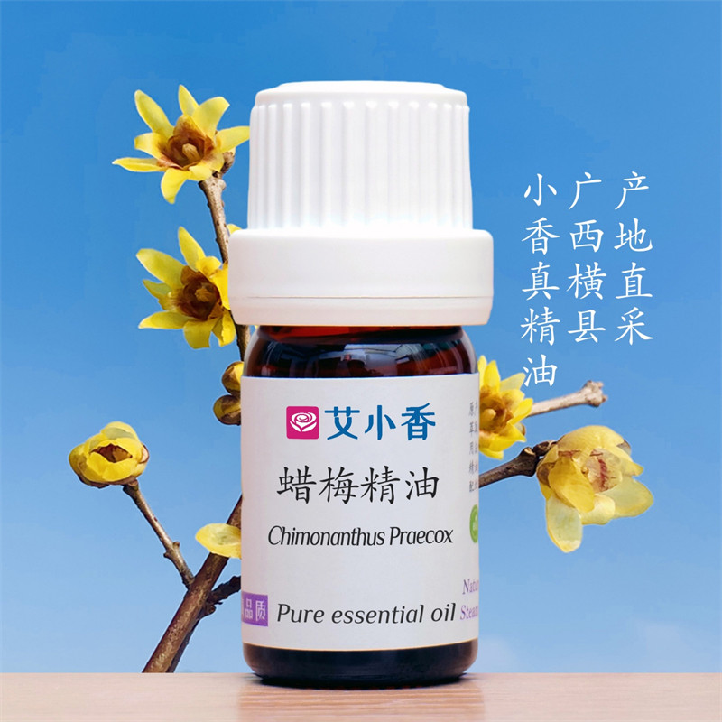 蜡梅精油 香气温暖甜蜜寒冬花香温馨 广西横县产地「团购不送精油」