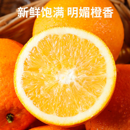 湖南脐橙5斤（直径75-80mm） 商品图3