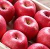 红苹果12枚尝鲜75-80酸甜可口脆甜多汁 商品缩略图6