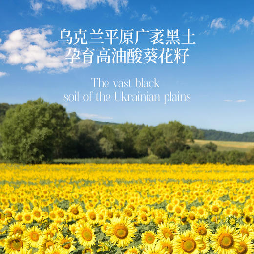 晟麦高油酸葵花籽油 500ml 0 反式脂肪酸含 Omega-9 乌克兰黑土原料 煎炸少烟清爽口感 商品图3