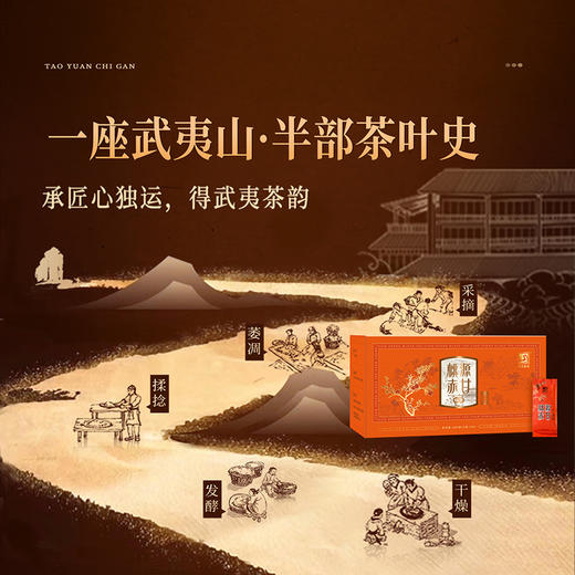 元正 桃源赤甘 正山小种红茶特级正宗武夷山蜜桃香茶叶盒装口粮茶 商品图4