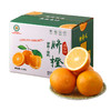 湖南脐橙5斤（直径75-80mm） 商品缩略图5