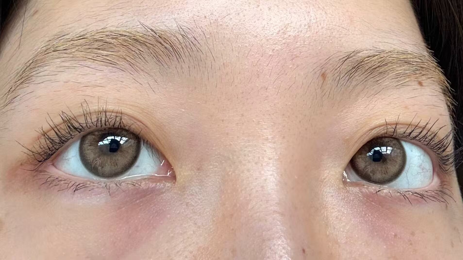 liliyacon半年抛美瞳 原木核桃 14.2mm