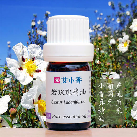岩玫瑰精油  葡萄牙产地直采 心灵情绪香氛沉静香气「不送精油」 商品图0