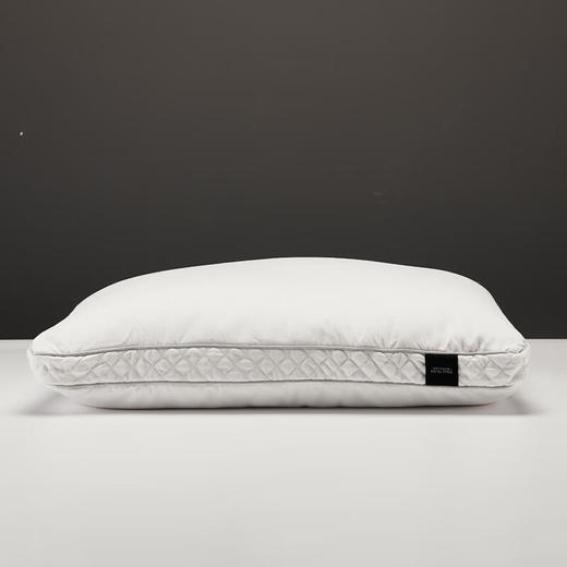 床上用品枕头长款枕芯家用宿舍抗菌酒店枕 商品图0