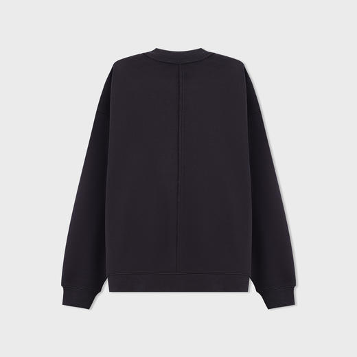 【新品上新】HX 冬季圆领卫衣C106540042101 商品图1