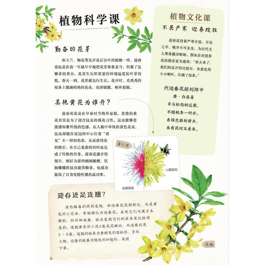 《和孩子一起认识中国植物》（全3册） 商品图9