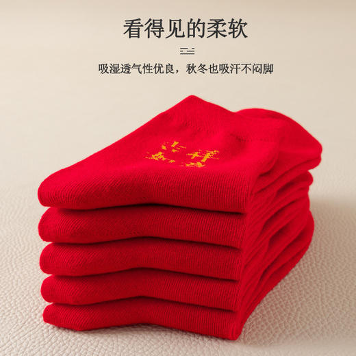 【祈愿吉品】脚踏七星红袜子2026马年新年吉祥物 商品图4