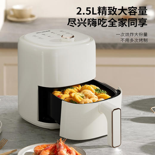 美菱MZG-DY6060（白）电烤炉(空气炸锅) 商品图2