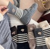鹿鹿推荐·韩系条纹小狗袜子5对 商品缩略图0