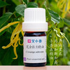 完全依兰精油 女人味香氛  马达加斯加岛产地直采 商品缩略图0