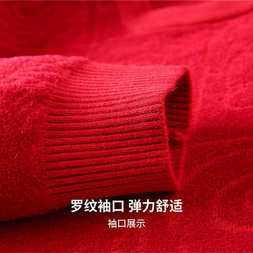 圣得西2025年冬季新款男士厚毛衫新中式提花圆领不易起球针织衫 商品图7