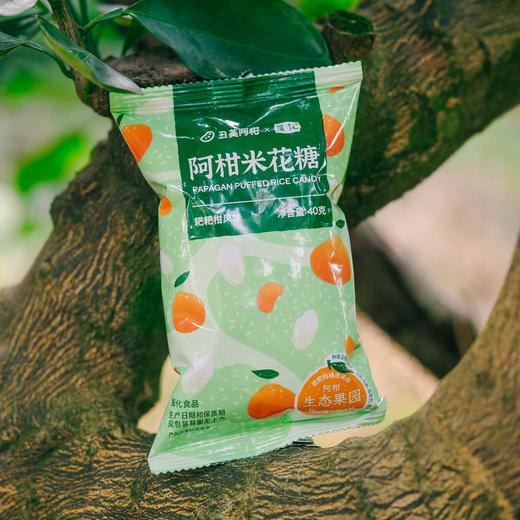 生态阿柑米花糖/小米酥（买赠优惠） | 合作生产 *Eco-papagan puffed rice  candy | Partner Production 商品图2