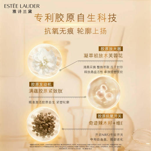 春节不打烊! 送礼袋【雅诗兰黛面霜套组】EsteeLauder雅诗兰黛智妍晚霜正装75ml+智妍清爽面霜15ml*4 抗老抗皱紧致 商品图9