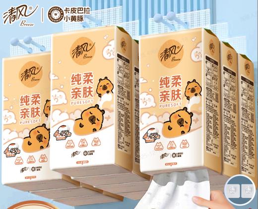 【官方自营】清风挂抽4层250抽10提送挂钩卡皮巴拉小黄豚联名款 商品图0