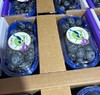 【九分甜】云南特级高山特大蓝莓24+顺丰包邮 商品缩略图4