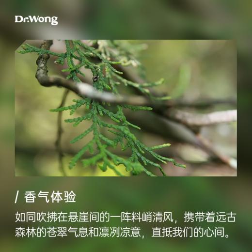 太行崖柏 植物香薰精油 商品图1