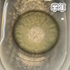 #MAR 苔原秘境 灰绿 14.0mm【1片装】改瞳色 / 虹膜系列 / 半年抛 商品缩略图4
