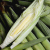 【带皮玉米笋】拥有独特清香，脆甜多汁，鲜嫩可口，连籽带穗食用更美味 商品缩略图7