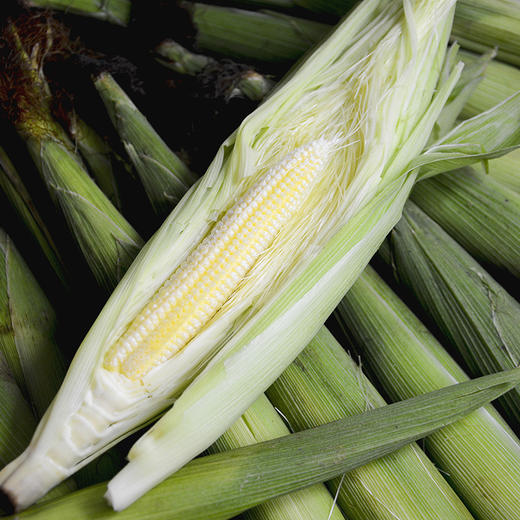 【带皮玉米笋】拥有独特清香，脆甜多汁，鲜嫩可口，连籽带穗食用更美味 商品图7