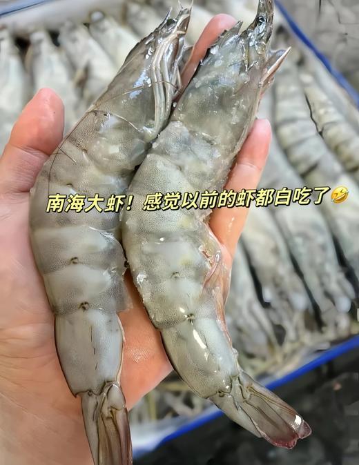 【顺丰包邮】南海大虾南海纯净海域海捕野生大虾 活虾单只速冻 从捕捞到装箱不超过6小时 去冰去盒净重3斤 性价比直接拉满 顺丰基地直邮 商品图8