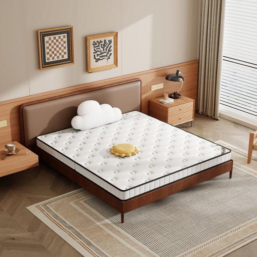 自然醒3E椰棕床垫-Z02 SA 商品图6