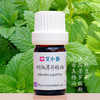 胡椒薄荷精油欧薄荷 法国普罗旺斯产地直采 清涼舒爽提神冰感活力香调 商品缩略图0