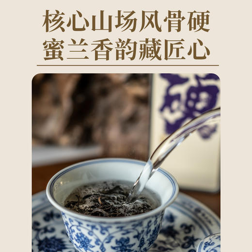 【玩料家】硬14g 商品图1