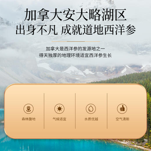 【冬至秒杀】福东海 加拿大西洋参180克礼盒 45*4罐 商品图6