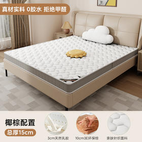 自然醒针织棉护脊椰棕床垫-Z01 SA