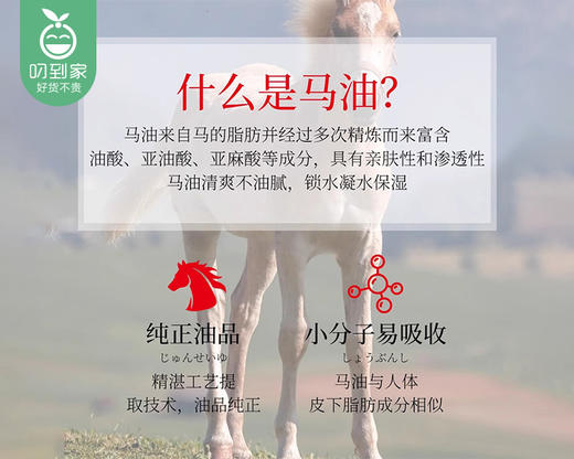 日本进口SUYO崇扬植物素洗脸沐浴马油香皂（200g/块） 商品图2