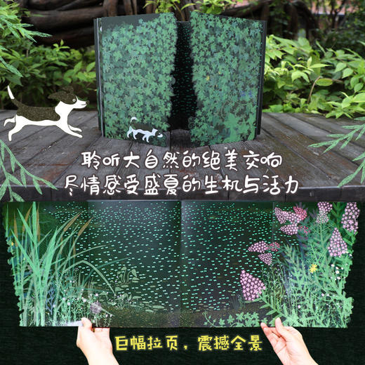 文明诣自然奇遇三部曲：夏夜(（韩）文明诣 著 ) 商品图3