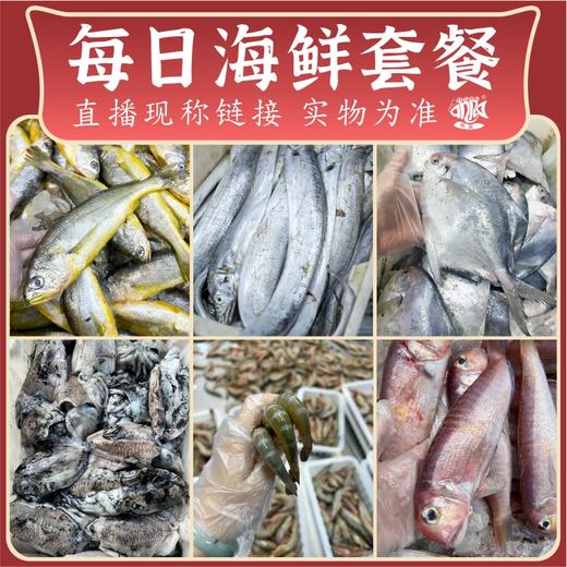 闹妈每日（热气）鲜货体验/鱼组合套餐 商品图0