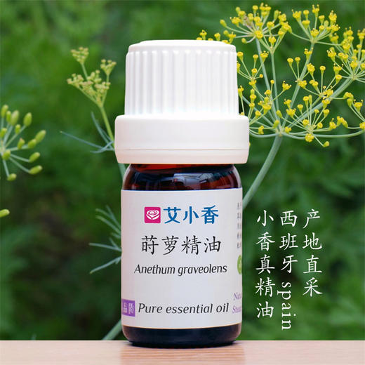 莳萝精油 西班牙产地直采 商品图0